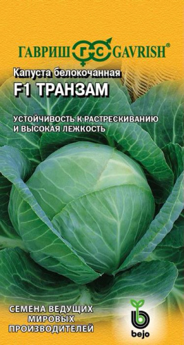 Капуста Транзам F1 для хранения