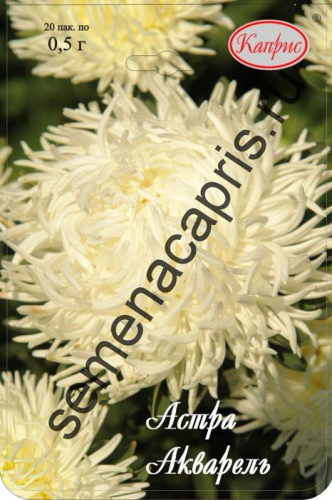 Астра Акварель белая/1шт
