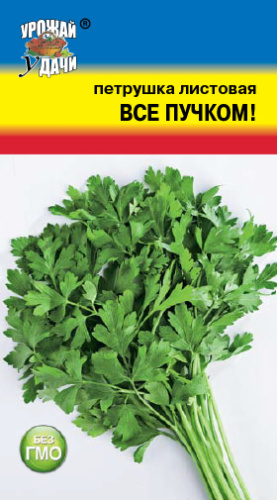 Петрушка Все Пучком листовая