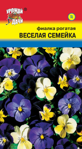 Фиалка Веселая семейка рогатая 