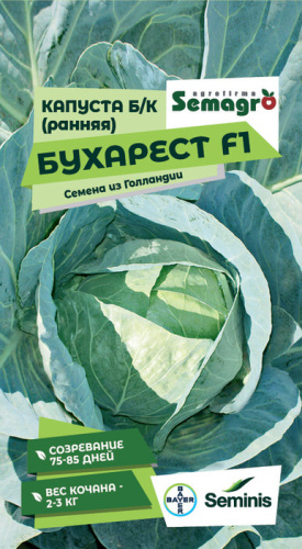 Капуста Бухарест F1 