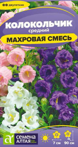 Колокольчик Махровая смесь средний
