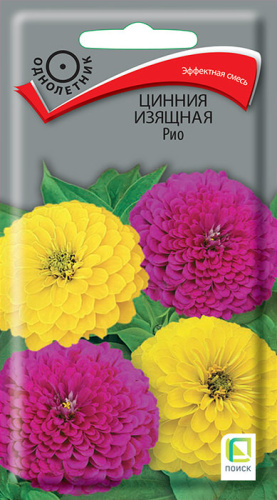 Цинния Рио изящная
