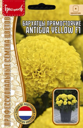 Бархатцы Антигуа F1 Еллоу
