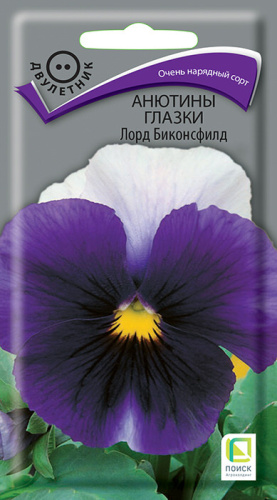 Анютины глазки Лорд Биконсфилд