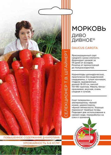 Морковь Диво дивное