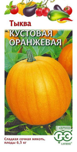 Тыква Кустовая оранж. 
