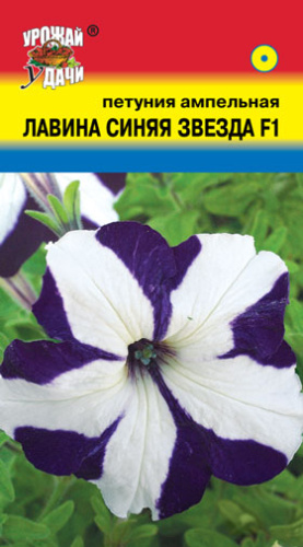 Петуния Лавина F1 Звезда Синяя