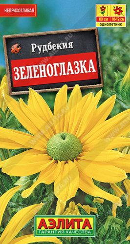 Рудбекия Зеленоглазка 