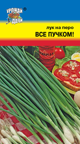 Лук Все пучком, на перо