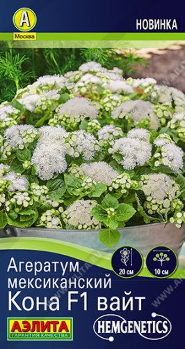 Агератум Кона F1 вайт мексиканский