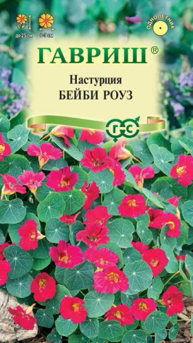 Настурция Бейби роуз