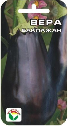 Баклажан Вера 20 шт