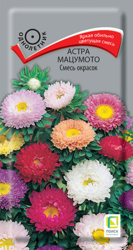 Астра мацумото Смесь окрасок