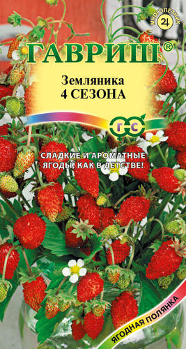 Земляника Четыре сезона