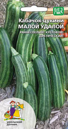 Кабачок Малой-Удалой 