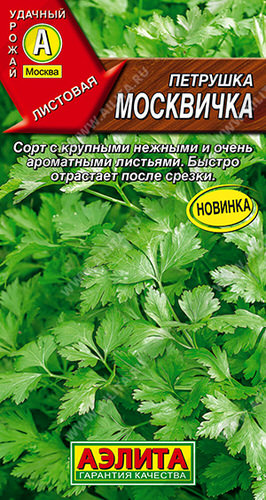 Петрушка Москвичка листовая