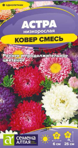 Астра Ковер Смесь низкорослая