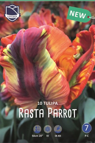 Тюльпан Раста Пэррот /10шт