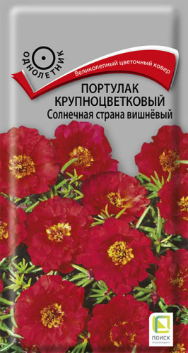 Портулак Солнечная страна вишневая крупноцветковая 