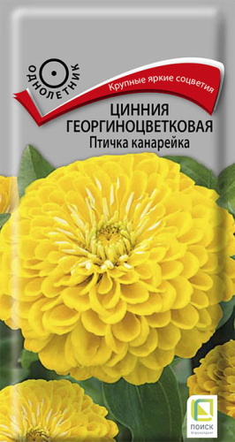 Цинния Птичка канарейка 