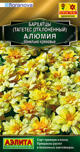 Бархатцы Алюмия ванильно-кремовые откл.