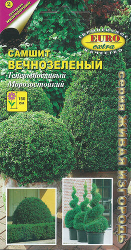 Самшит вечнозеленый