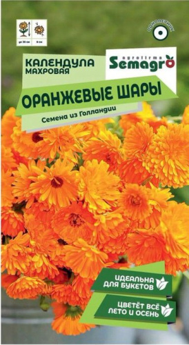 Календула махровая Оранжевые шары 