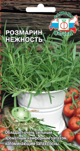 Розмарин Нежность