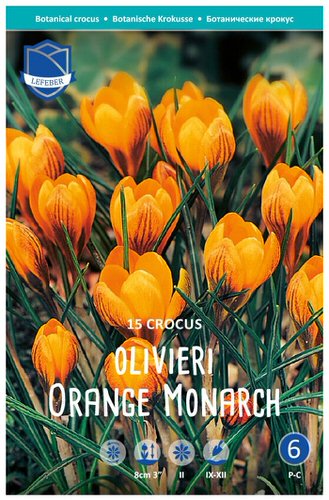 Крокус olivieri "Orange Monarch" (1х15шт)