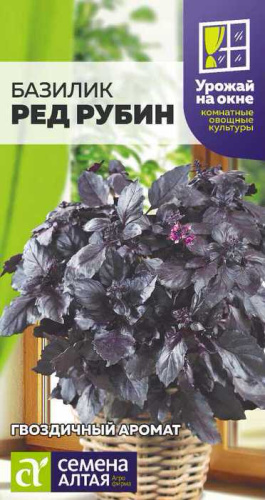 Базилик Ред Рубин УРОЖАЙ НА ОКНЕ!