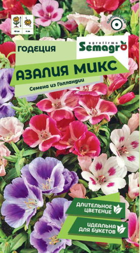 Годеция Алазия  микс 