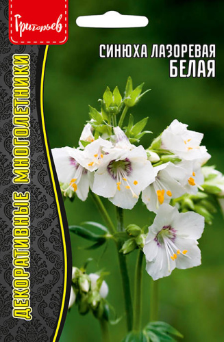 Синюха Белая лазоревая