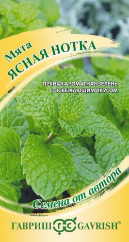 Мята Ясная Нотка садовая