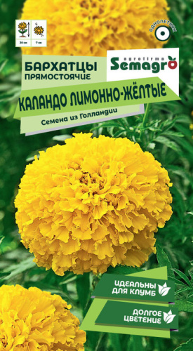 Бархатцы прямостоячие Каландо лимонно-жёлтые 