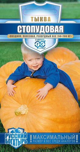 Тыква Стопудовая  серия Русский богатырь
