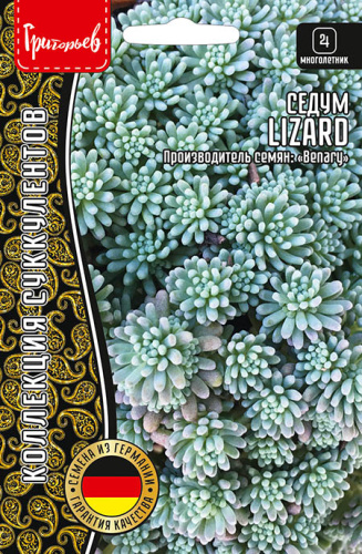 Седум Lizard 