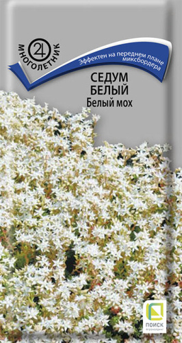 Седум белый Белый мох