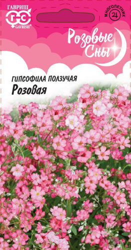 Гипсофила ползучая Розовая РС