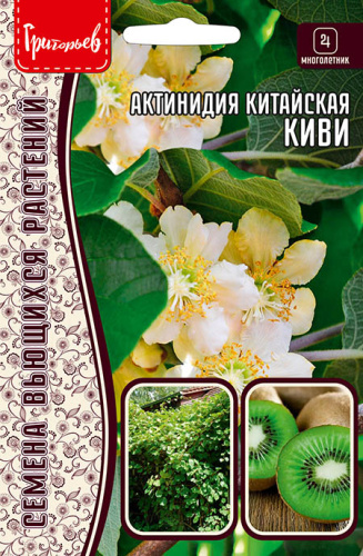 Актинидия Китайская  Киви