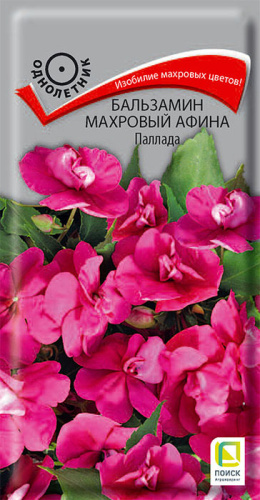 Бальзамин Афина F1 Паллада махр.