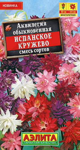 Аквилегия Испанское кружево, смесь