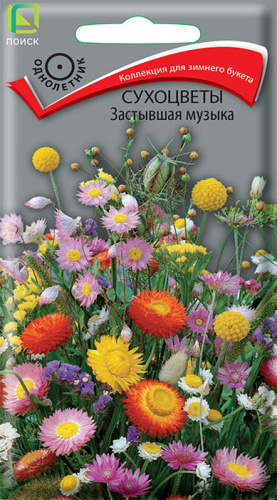 Сухоцветы Застывшая музыка