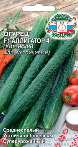 Огурец Аллигатор 4 F1
