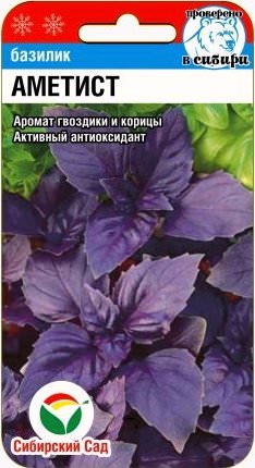 Базилик Аметист 