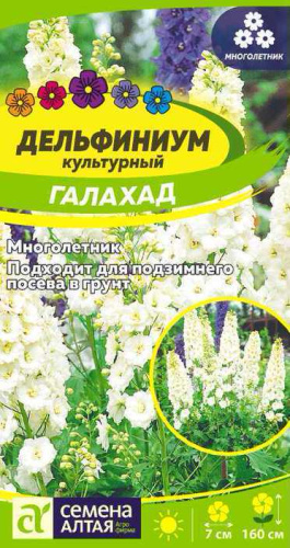Цветы Дельфиниум Галахад  многолетник