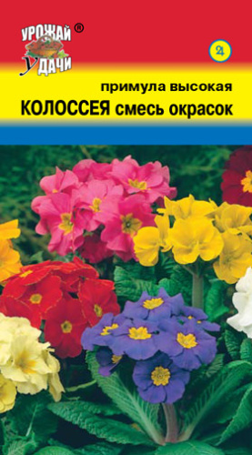 Примула высокая Колоссея Смесь 