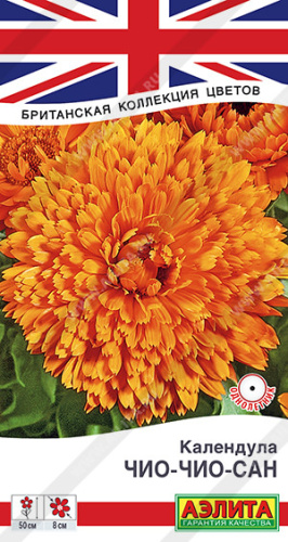 Календула Чио-Чио-сан