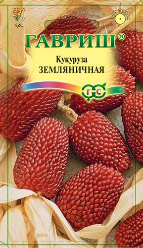 Кукуруза декоративная Земляничная 