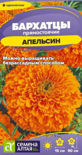 Бархатцы Апельсин прямостоячие
